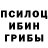 Псилоцибиновые грибы Psilocybine cubensis Tanj Kjvalenko