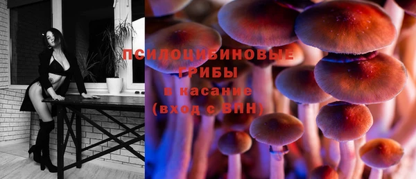 молекула духа Дмитриев