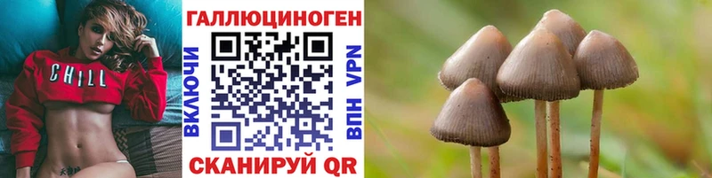 Галлюциногенные грибы мицелий  Курганинск 